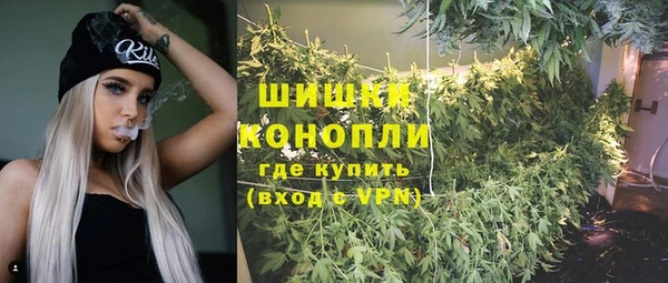 спайс Аркадак
