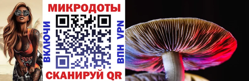 Псилоцибиновые грибы Magic Shrooms  Рошаль 